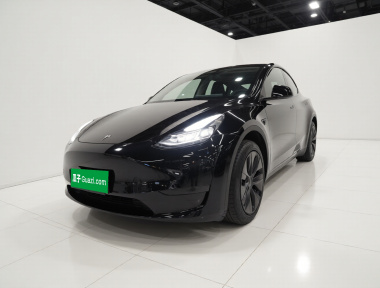 Tesla Model Y 2023 Tesla Model Y 2023 car image