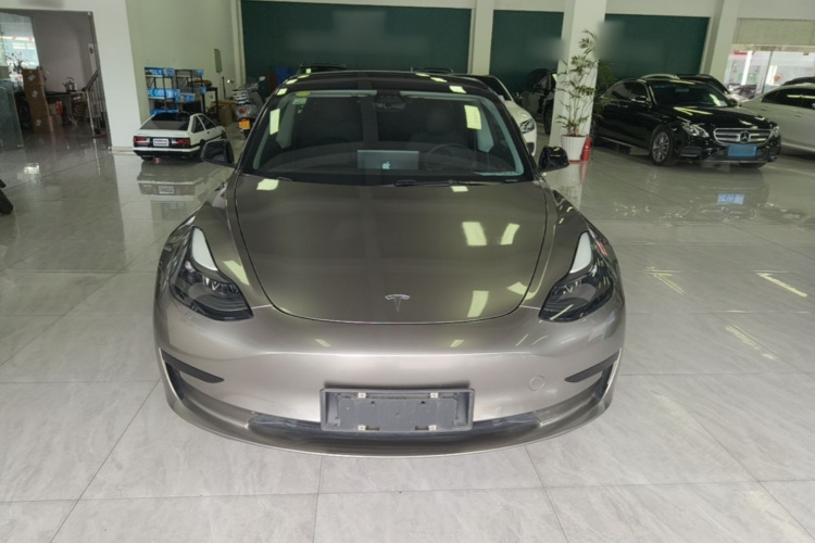 Tesla Model 3 2021 #3 Tesla Model 3 2021 car image #3