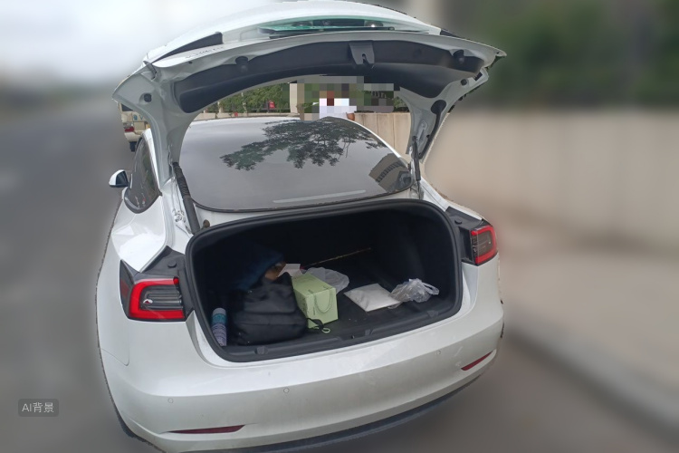 Tesla Model 3 2023 #21 Tesla Model 3 2023 car image #21