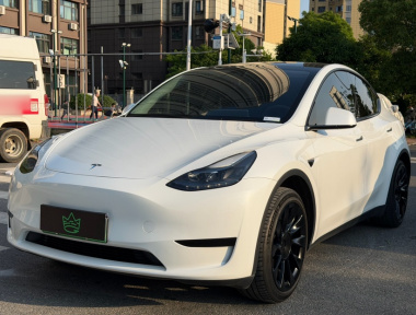 Tesla Model Y 2024 car image 