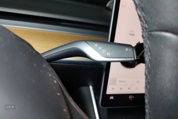 Tesla Model 3 2020 car image #16