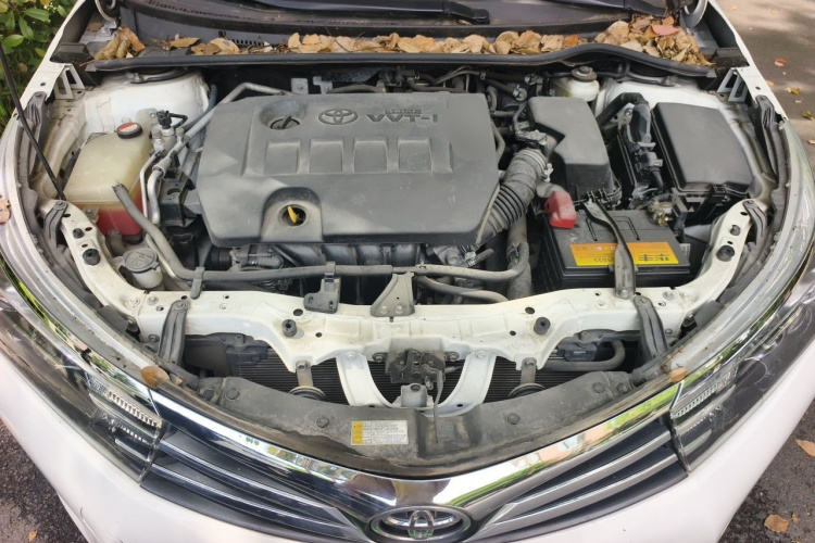 2016 #22 2016 car image #22