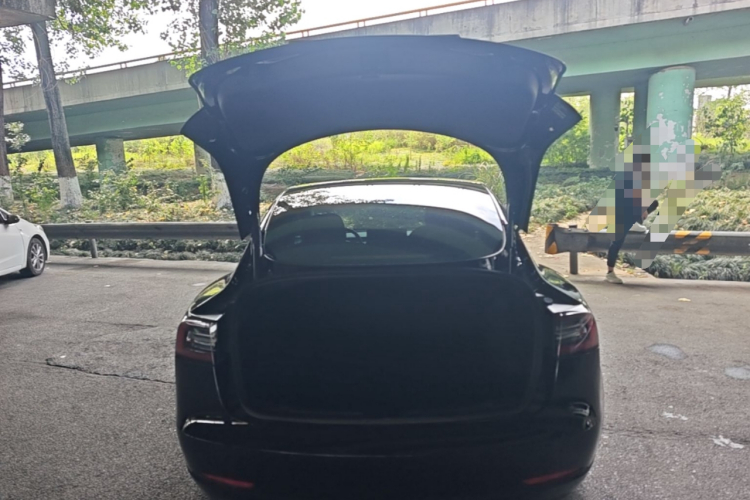 Tesla Model 3 2021 #21 Tesla Model 3 2021 immagine di auto #21