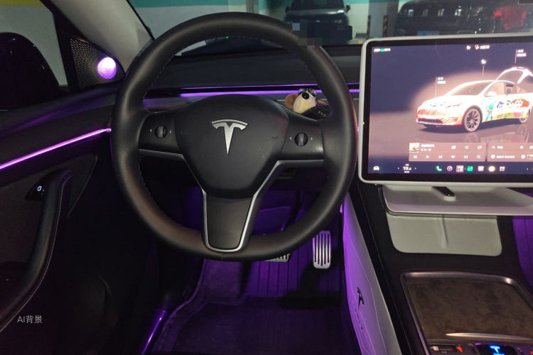 Tesla Model Y 2023 imagem de carro #12