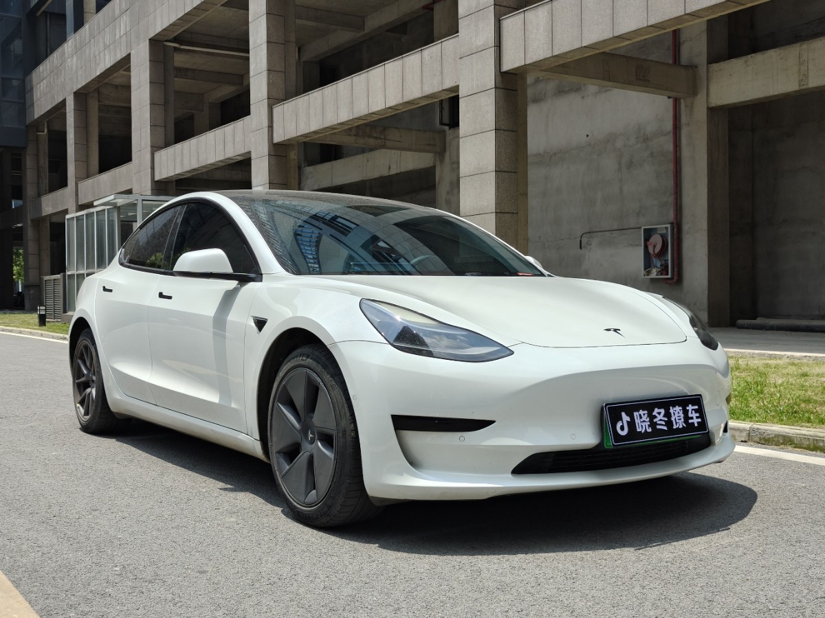 Tesla Model 3 2021 immagine di auto #3