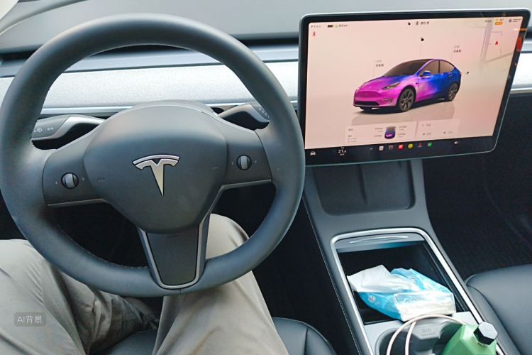 Tesla Model Y 2024 car image #13
