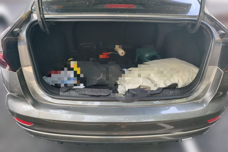 GEELY Emgrand 2023 car image #17