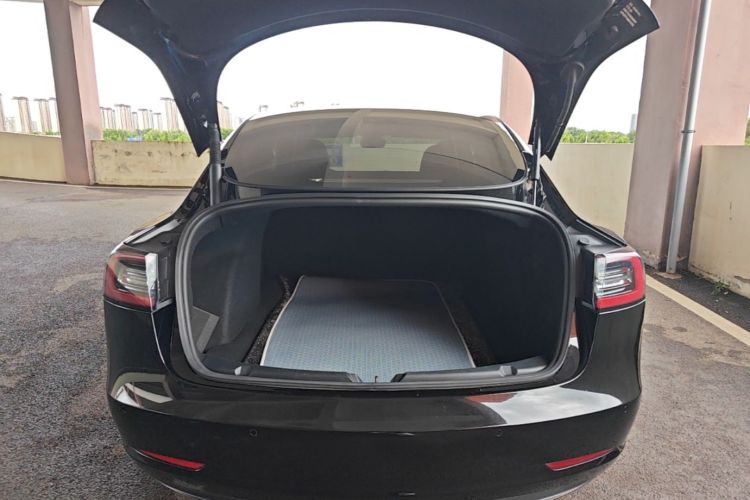 Tesla Model 3 2021 #19 Tesla Model 3 2021 car image #19