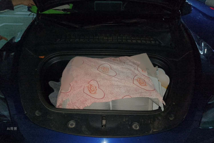 Tesla Model Y 2022 car image #22