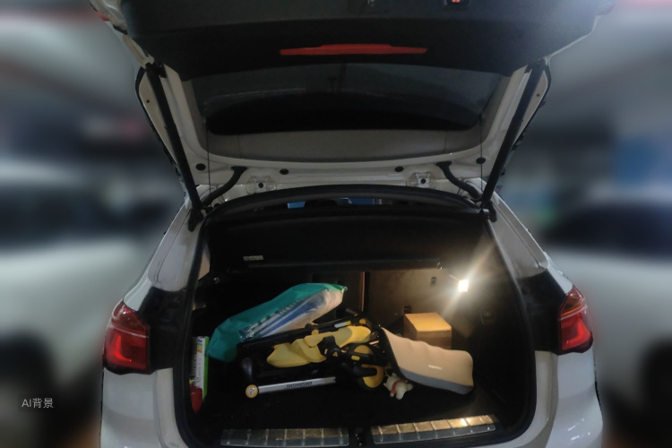 BMW X1 2017 imagen de coche #21