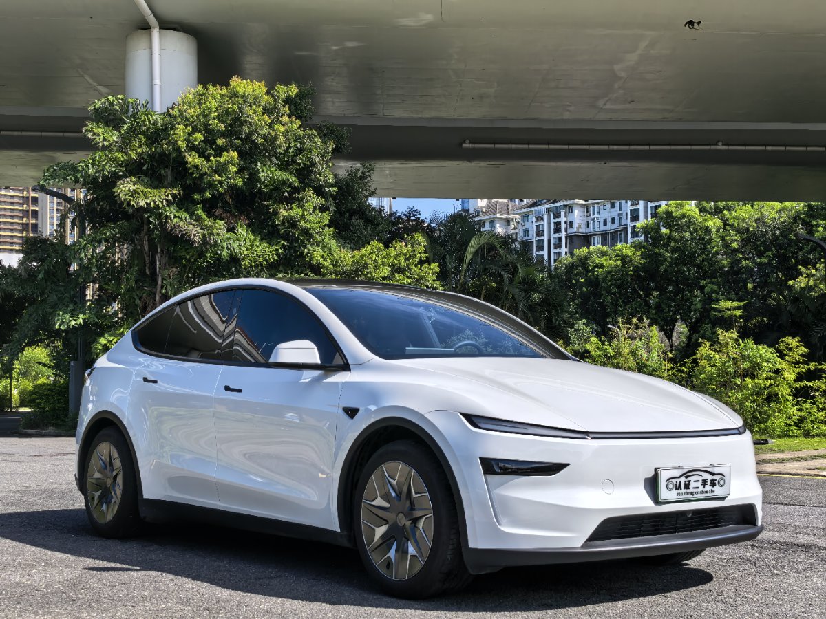 Tesla Model Y L 2025 #3 Tesla Model Y L 2025 car image #3
