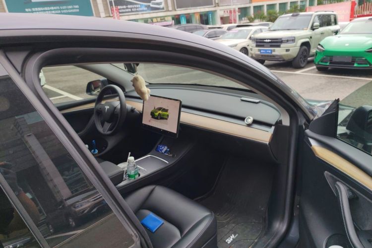 Tesla Model Y 2022 #23 Tesla Model Y 2022 car image #23