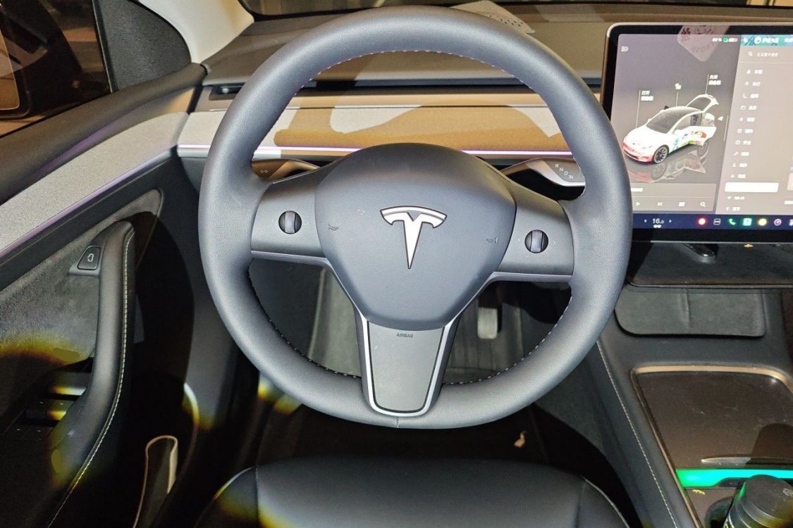 Tesla Model Y 2024 car image #23