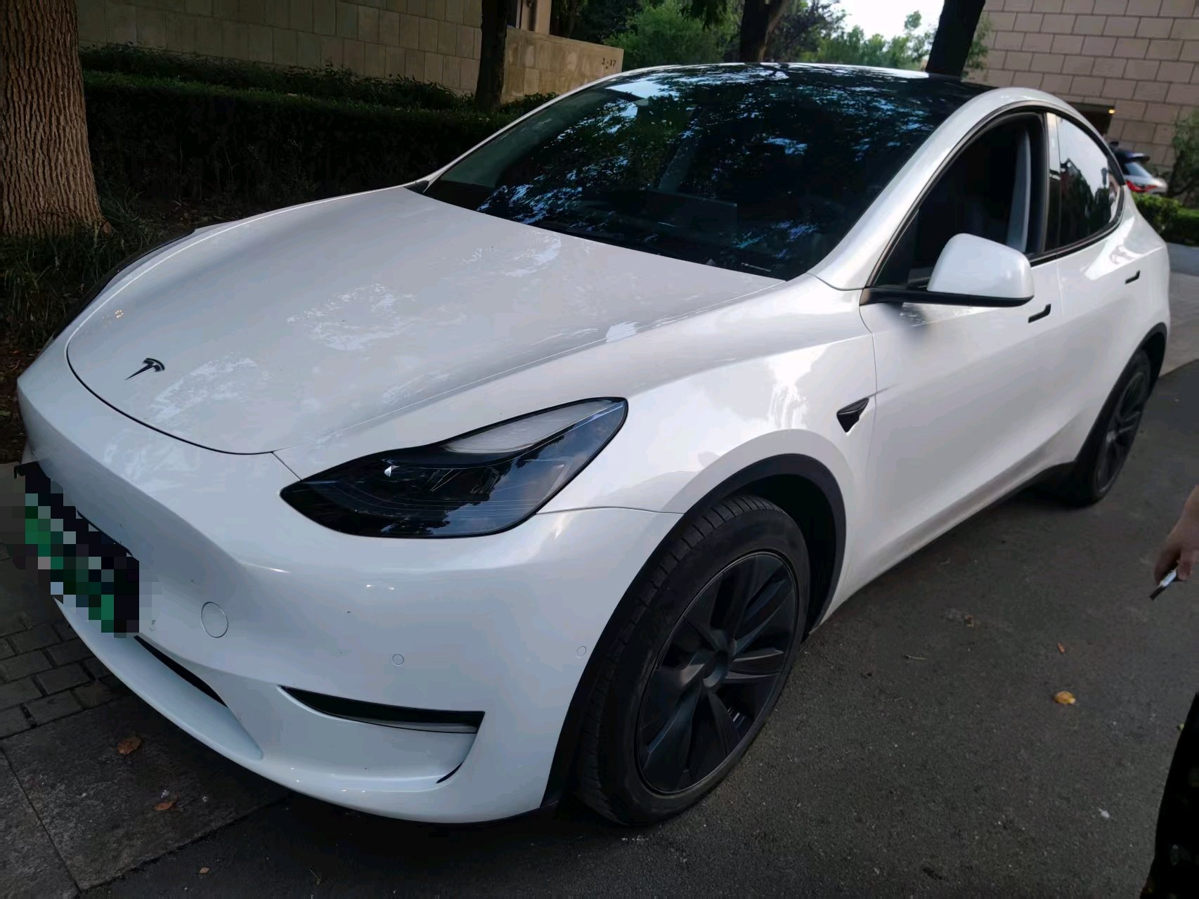 Tesla Model Y 2024 Tesla Model Y 2024 car image