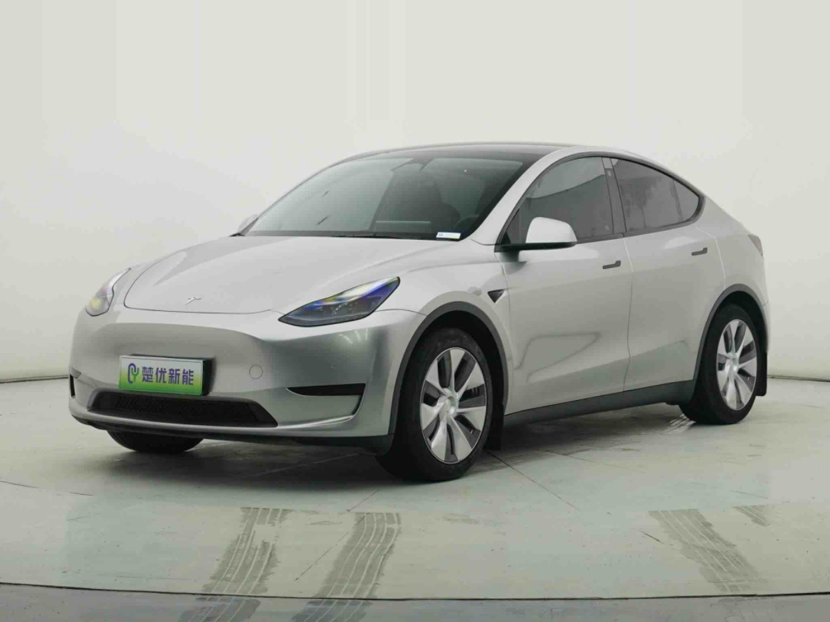 Tesla Model Y 2023 Tesla Model Y 2023 car image