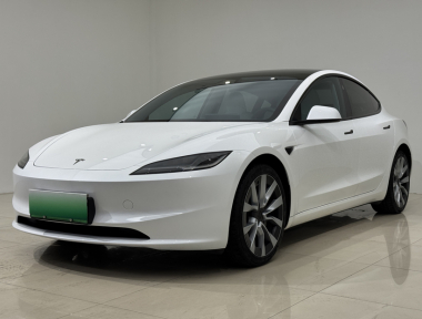 Tesla Model 3 2024 Tesla Model 3 2024 car image