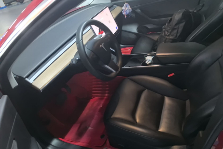 Tesla Model 3 2020 car image #15