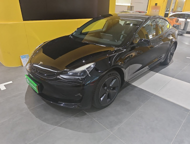Tesla Model 3 2021 Tesla Model 3 2021 immagine di auto