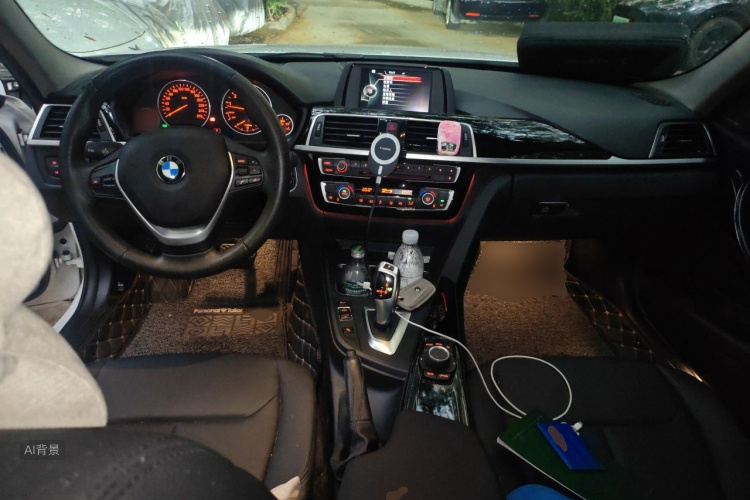 BMW 3 Series 2017 car image #11