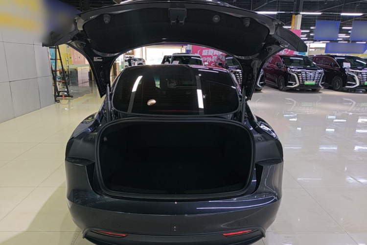 Tesla Model 3 2025 #21 Tesla Model 3 2025 car image #21