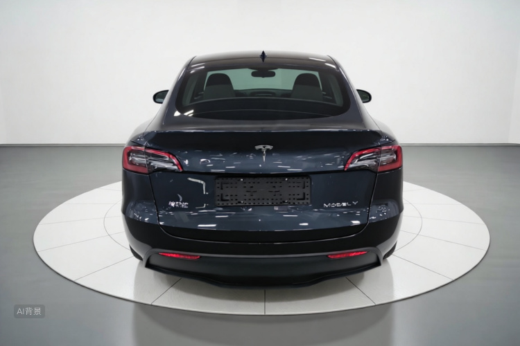 Tesla Model Y 2024 #6 Tesla Model Y 2024 car image #6