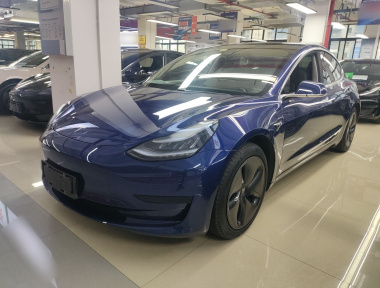 Tesla Model 3 2020 immagine di auto 