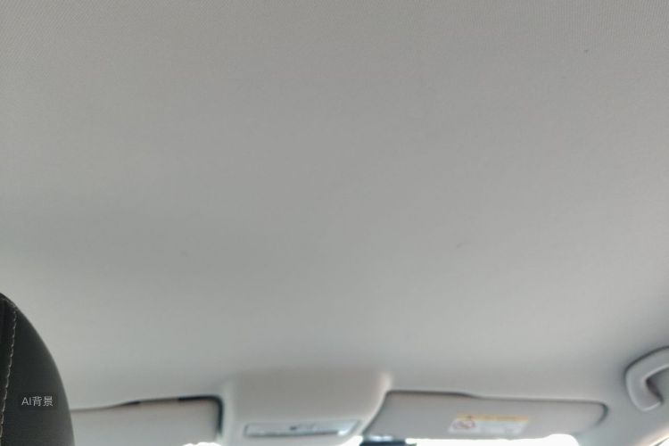 Volkswagen Polo 2017 car image #20