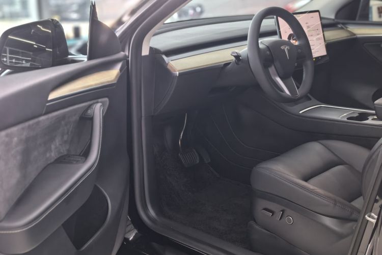 Tesla Model Y 2023 car image #10