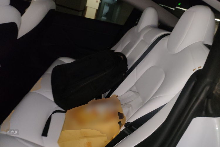 Tesla Model 3 2023 car image #19