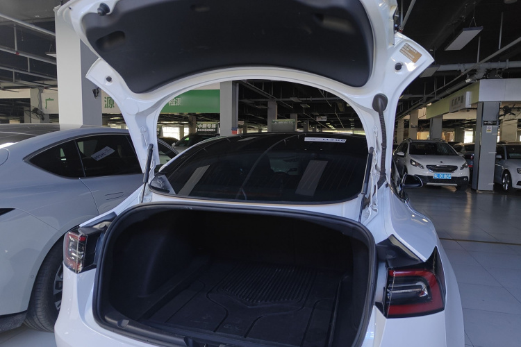 Tesla Model 3 2020 car image #19