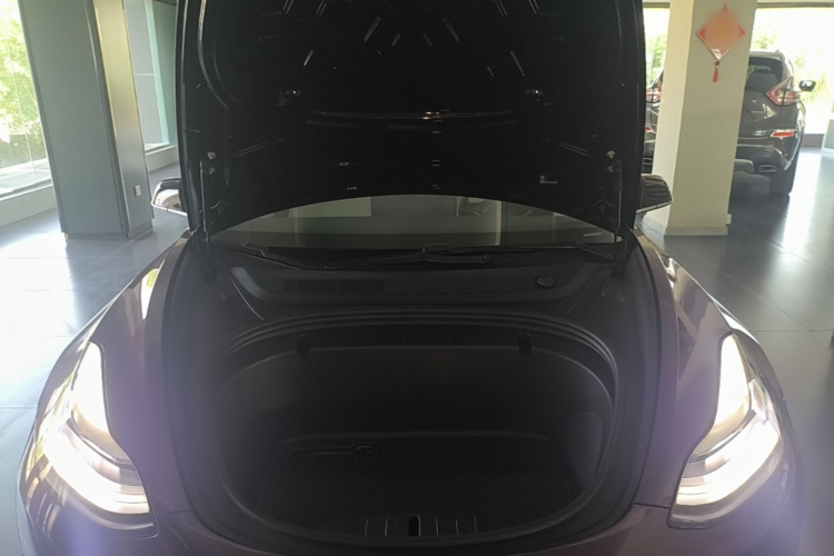 Tesla Model 3 2020 #22 Tesla Model 3 2020 car image #22