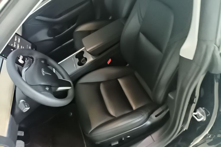 Tesla Model 3 2021 #15 Tesla Model 3 2021 car image #15