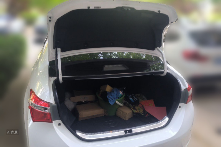 Toyota Corolla 2015 car image #21