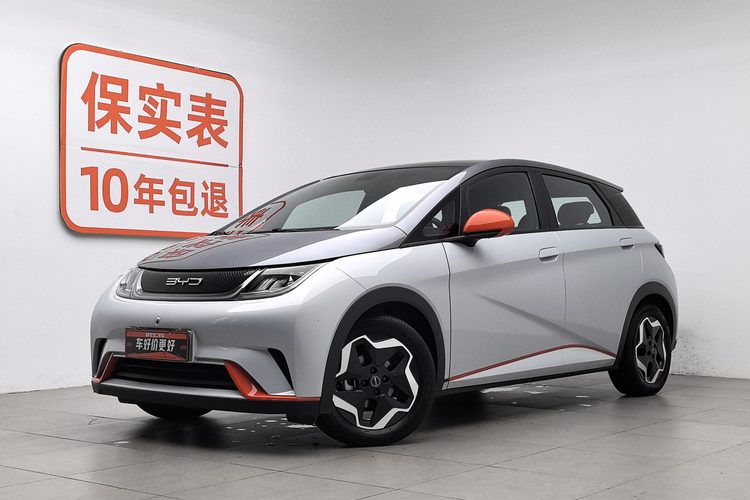 BYD Dolphin 2022 BYD Dolphin 2022 car image