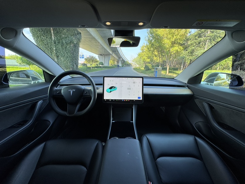 Tesla Model 3 2020 car image #7