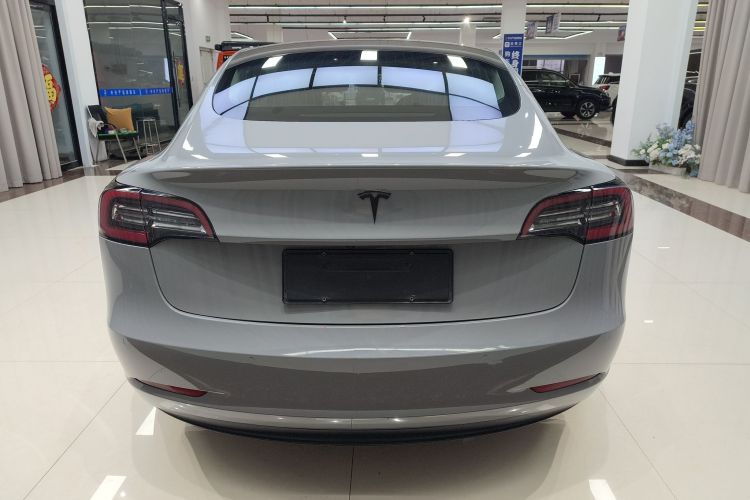 Tesla Model 3 2020 car image #4