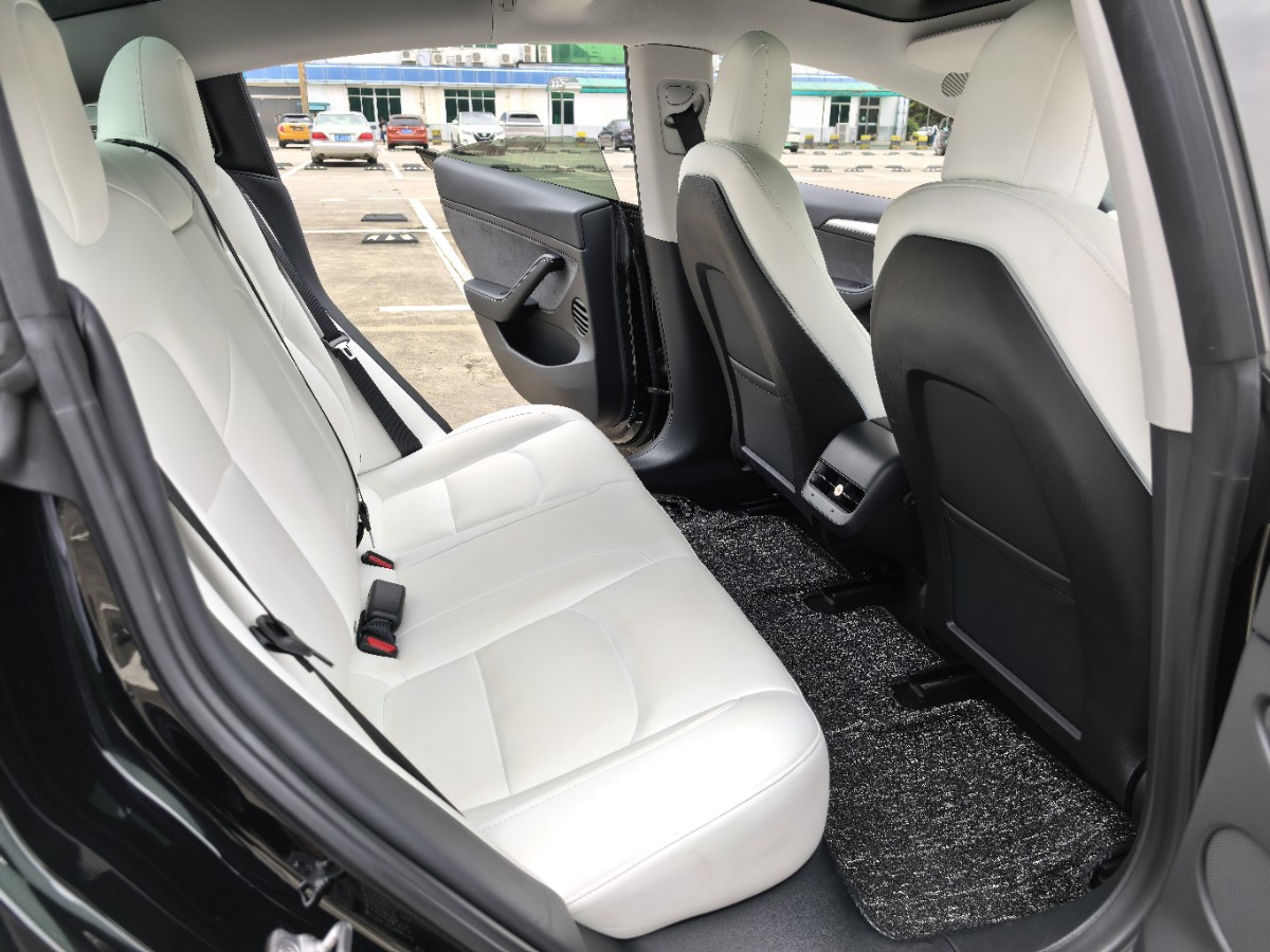 Tesla Model 3 2021 #8 Tesla Model 3 2021 car image #8