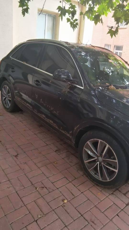 Audi Q3 2016 #5 Audi Q3 2016 car image #5