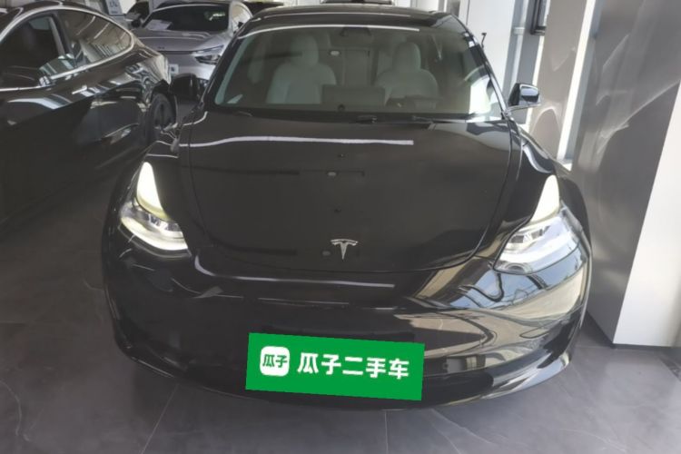 Tesla Model 3 2021 #3 Tesla Model 3 2021 car image #3