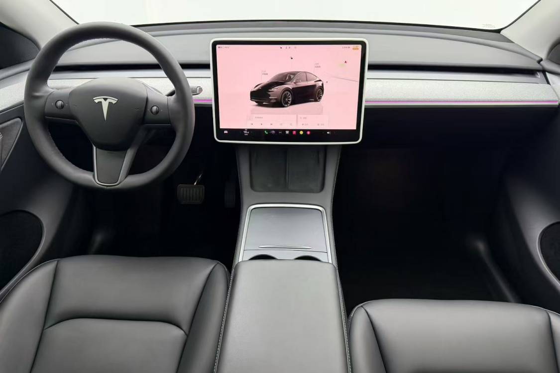 Tesla Model Y 2023 car image #15