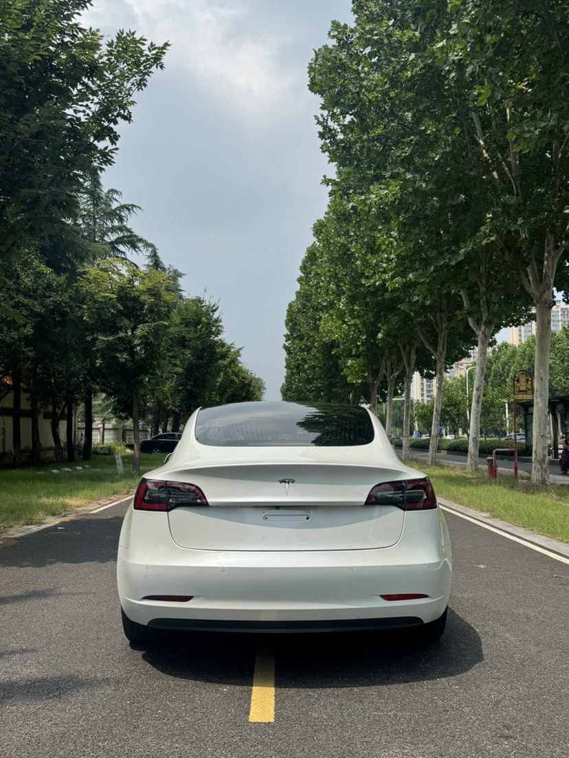 Tesla Model 3 (Imported) 2019 car image #7