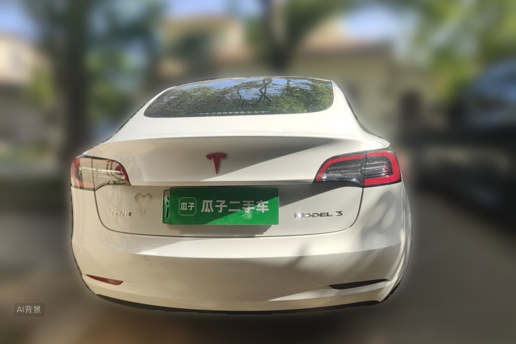 Tesla Model 3 2021 #6 Tesla Model 3 2021 car image #6