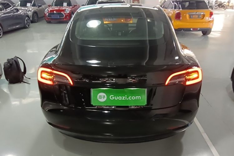 Tesla Model 3 2020 car image #6