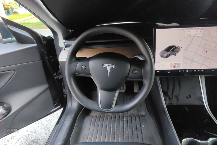 Tesla Model 3 2020 car image #12