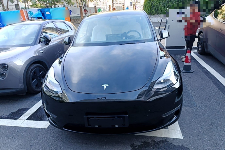 Tesla Model Y 2021 car image #3