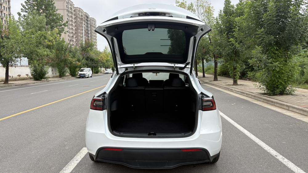 Tesla Model Y 2024 car image #14