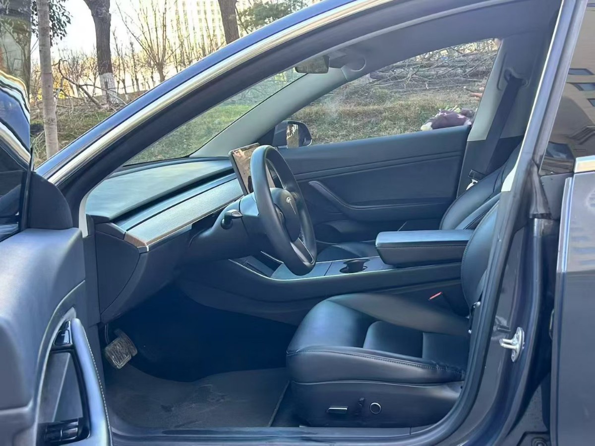 Tesla Model 3 2020 car image #3