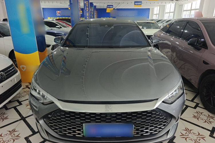 BYD Han 2021 immagine di auto #3