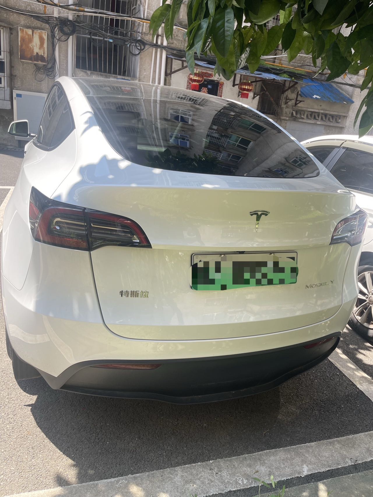 Tesla Model Y 2024 #4 Tesla Model Y 2024 car image #4