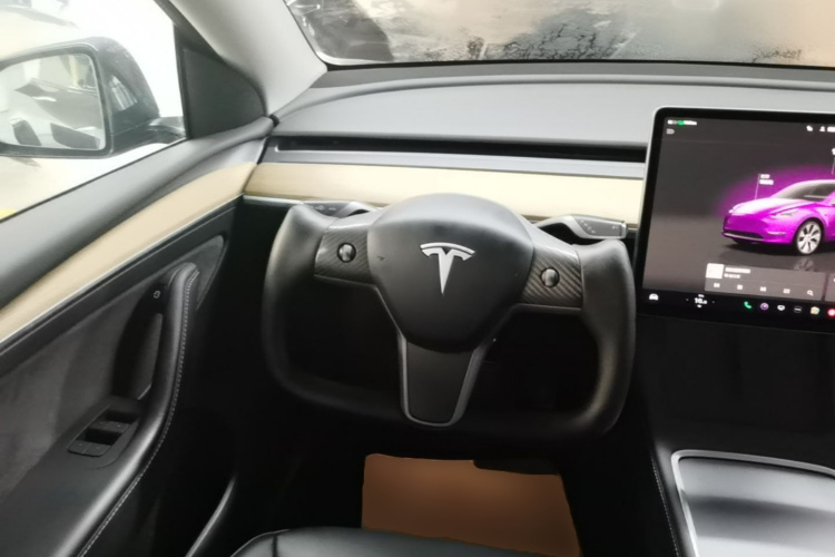 Tesla Model Y 2023 #11 Tesla Model Y 2023 car image #11